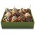Chocolate Strawberries Chocolate Strawberries