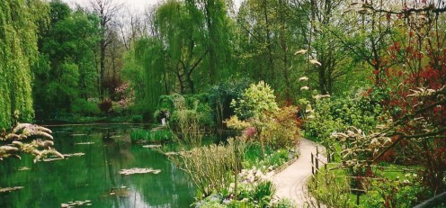 Meandering walkway alongside a lily pond