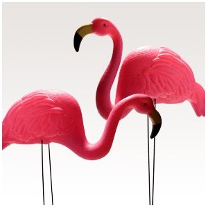 Pink flamingos add a touch of whimsy to your yard and can be bought at many online retailers, including Amazon.com.