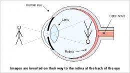 https://usercontent1.hubstatic.com/4524070_f260.jpg
