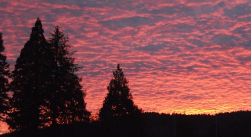 Evening Sunset