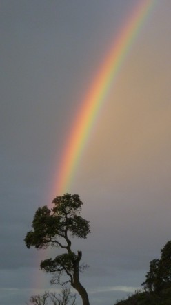 http://s4.hubimg.com/u/4527239_f248.jpg