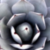 MexicoDavid profile image