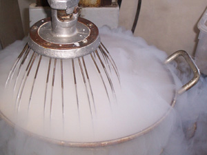 Liquid Nitrogen Ice Cream Shop