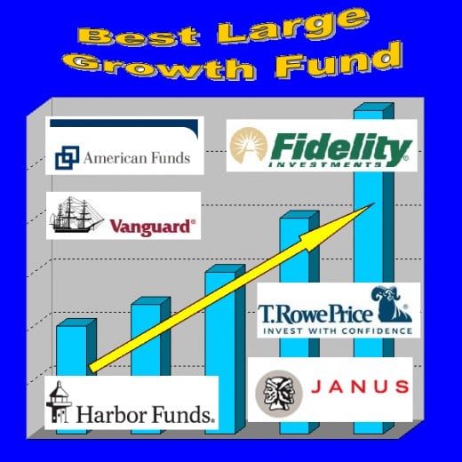 Top 10 Best Large Cap Growth Stock Mutual Fund: Domestic Equity Funds ...