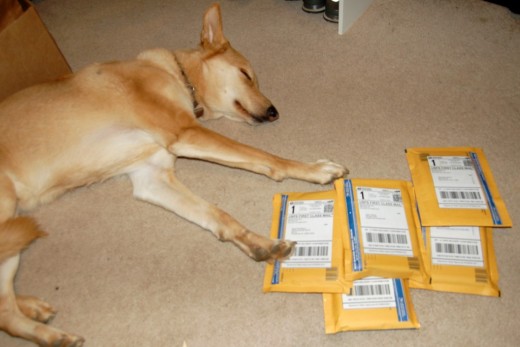 Busa was a lot of help tonight packaging up all the stuff I sold on eBay today.