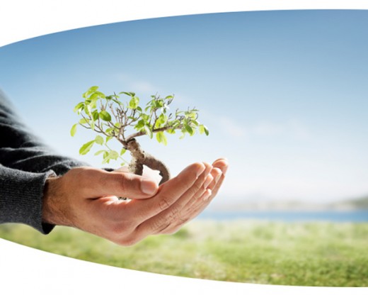 Making Money Online needs your dedication.