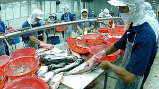 World Fish Consumption Peaks, But Stocks and Aquaculture Production ...