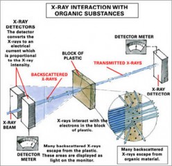 Implications of Backscatter Millimetre Wave Imaging