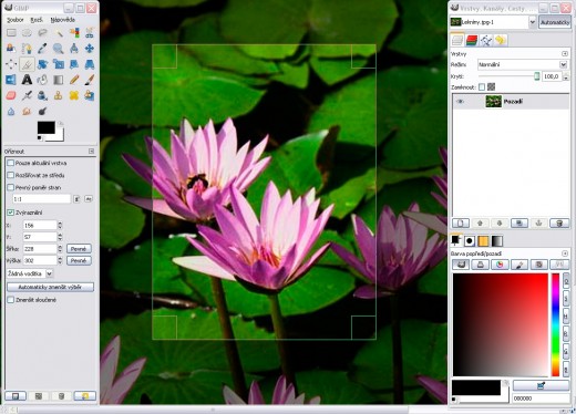 GIMP is good software to give professional touches to Images. It comes with GNU General Public License.