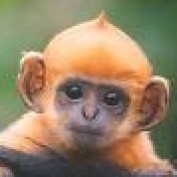funnyvideos profile image
