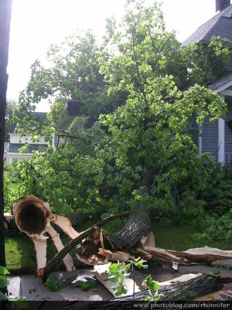 Large limbs were down all over town.  (Manistee, Michigan)