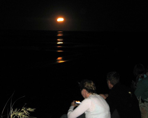 The phenomenon known as the Stairway to the Moon is moonlight (actually sunlight reflecting off the moon but I'm nitpicking) reflecting off the sand flats at low tide, only occurs once in a blue moon.