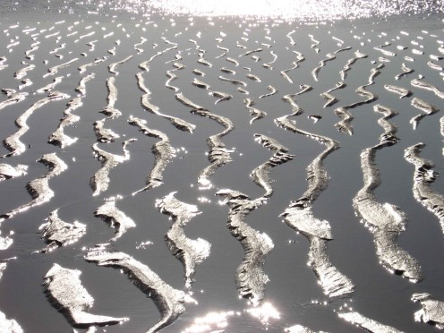 Actual sunlight reflecting on the sandflats