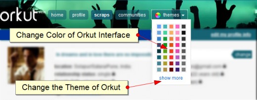 Options about changing the theme of Orkut
