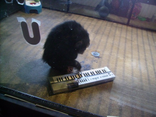 Bow likes music