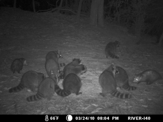I40 captures at night by the Tchefuncte River.