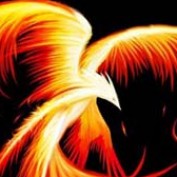 Nu Phoenix Rising profile image