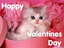 We love our pets