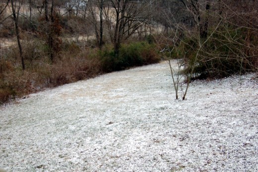 We didn't quite get that 6-9" of snow last night that all the weathermen have been worried about for a week.  All the snow was melted by noon.