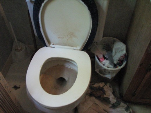 No, this is not my bathroom. I will not disclose where I took this photo, because I feel it would be grounds for slander. However, its condition is creating chaos for this home's occupants like you wouldn't believe :(