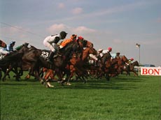 The Grand National was first run in 1839 and featured a solid brick wall as one of the obstacles,