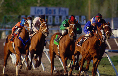 Most of the time the winner comes from the first eight in the betting.