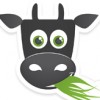 jobmeadow profile image