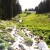 Stream of water in the Rocky Mountains - Lower part of the Trail Ridge Road Stream of water in the Rocky Mountains - Lower part of the Trail Ridge Road