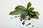 Bay leaves