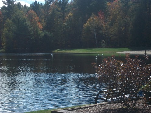 I love sitting on that bench on a sunny afternoon breathing in the fresh mountain air while reading a good book or watching a mother duck paddle by followed by a string of fuzzy off springs.