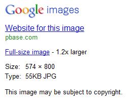 Most images in Google Image Search will contain this warning: Image may be subject to copyright.