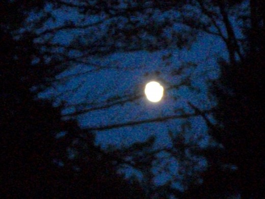 Taken from the deck at my camp