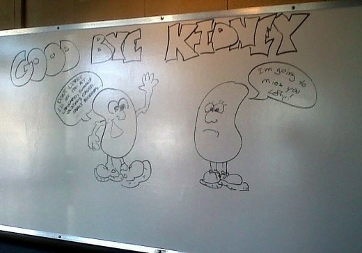 We went to eat at Dead End BBQ with Em's family this afternoon and this drawing was on the wall.  I guess someone is losing a kidney lol