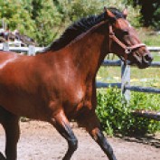 Photography7777 profile image