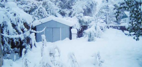 Things to do outside: snow fun!  Great igloo-building snow should cling to everything.