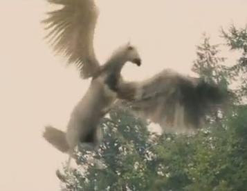 Pegasus Horse