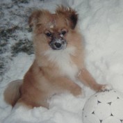 Checkers profile image