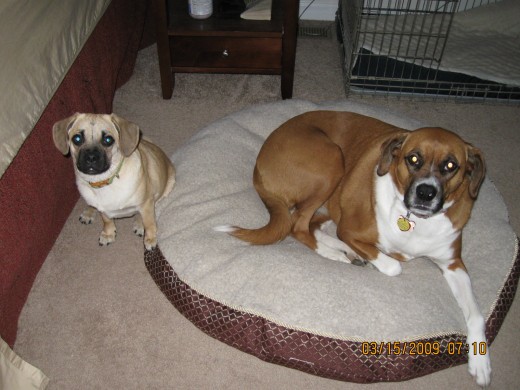 Emily and Bella