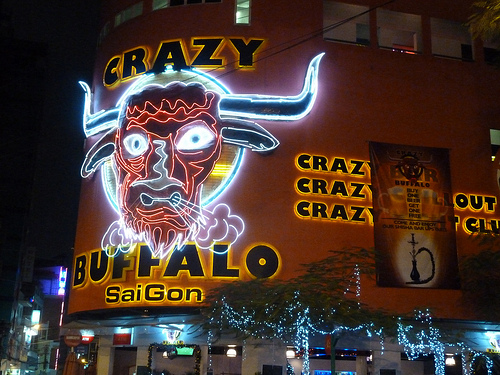 The Crazy Buffalo