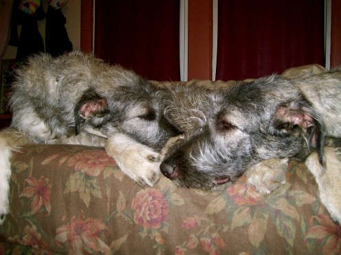 Kaie and Ciara