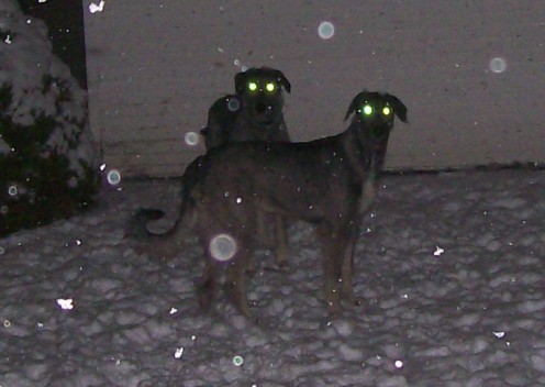 Enjoying the Snow, and Being Spooky!