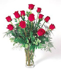 http://s3.hubimg.com/u/4676802_f248.jpg