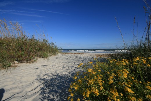 Beach Access On Hilton Head Island South Carolina