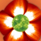 ReneeSiegel profile image