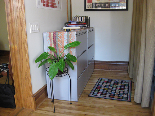 Rounding off the edges: the live plant and circular patterns on the rug help to give a "softer" look made by the sharp corners of the metal cabinet.