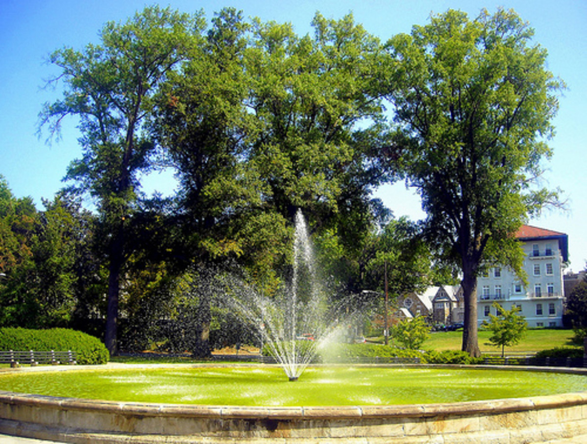 Chevy Chase Circle Fountain