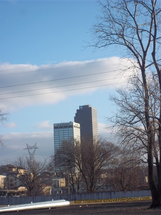 Blue Skies, operating agencies to help spread resources
