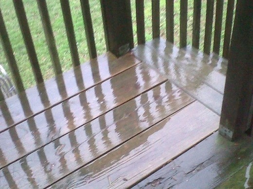 East Tennessee got some phenomenal storms today.  According to the news, we got roughly 3 inches of rain.