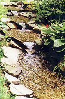 Any source of water, whether trenched out in the back yard, or natural is a welcome to all birds and other kinds of wildlife. 